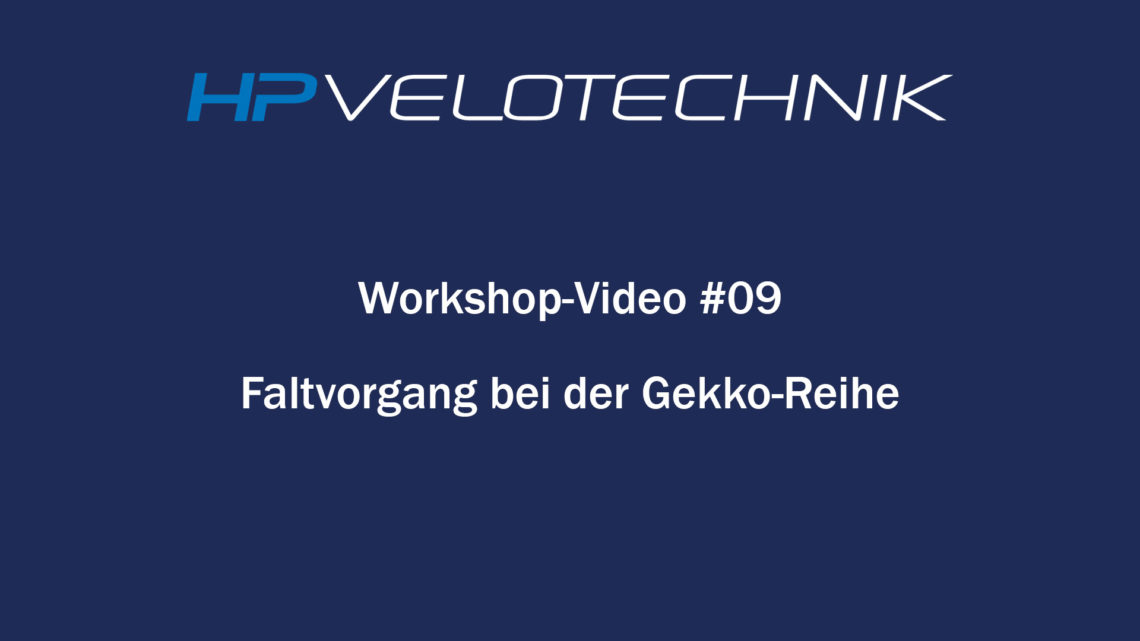 Workshop-Video 09: Faltvorgang Gekko-Reihe